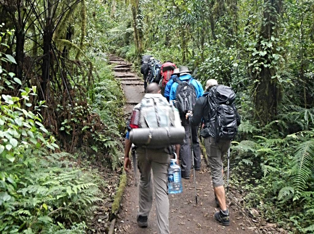 Kilimanjaro Expedition first