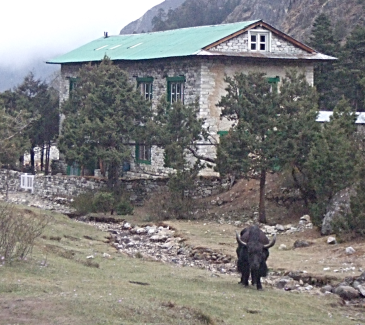 Base Camp Expedition 8