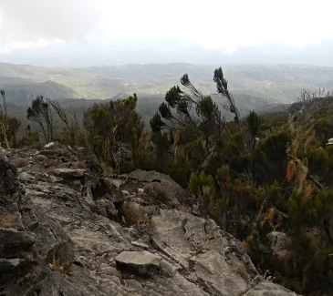 kiliminjaro-expedition-third-compressed